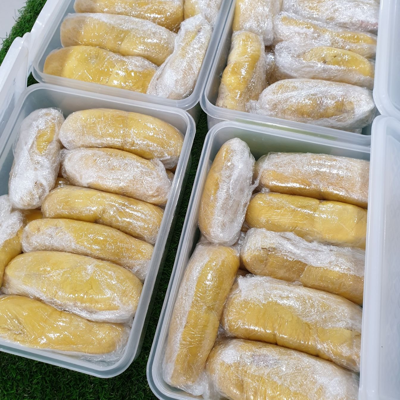 Frozen 1.8kg Box (Old Tree MSW)